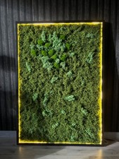 XXL Moosbild – elegant in einem stilvoll beleuchteten Rahmen eingefasst.