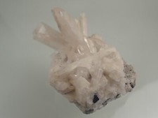 Danburit xx mit Zinkblende und Pyrit, Carcas, Mexiko