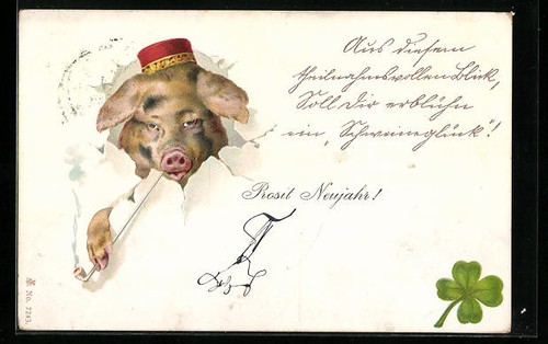 Schwein mit fez - mit, raucht