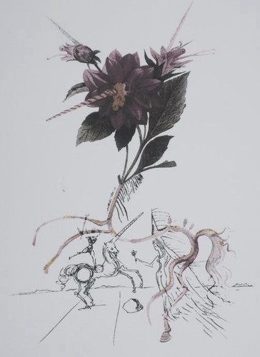 Salvador dalí farbige - ,