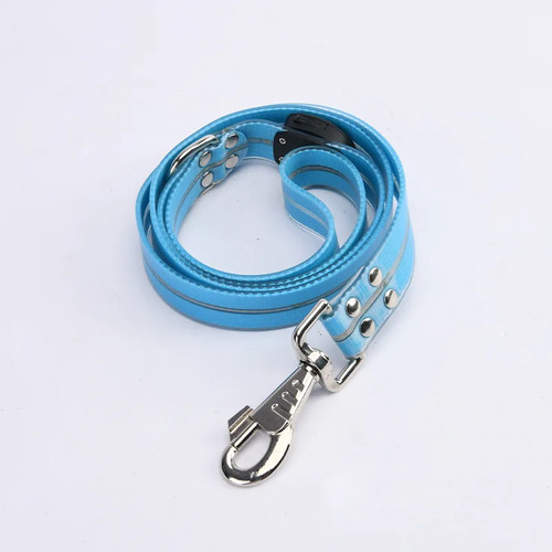 Leuchtendes hundehalsband led - hundehalsband,