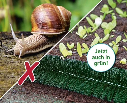 Schneckenzaun grün