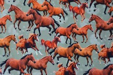 Jersey mit Pferden Pferde 50 x