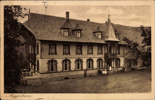 Muggenbrunn todtnau im - ak,