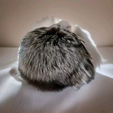 Eleganter Pelzhut Damen