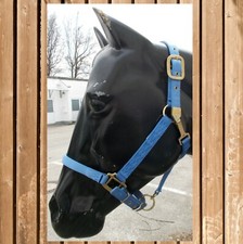 Hamilton Halfter "Quality" mit