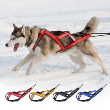 Hunde zuggeschirr back - hunde,