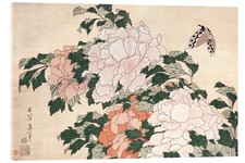 Acrylglasbild Pfingstrosen und