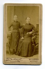 Orig. CDV Studio Portrait Foto Dame Mädchen Frau Mode WILSTER um 1890/1900 - 089