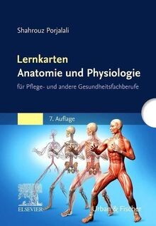 Lernkarten anatomie und - anatomie,