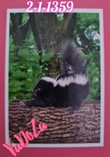 Abenteuer  Tierwelt  -