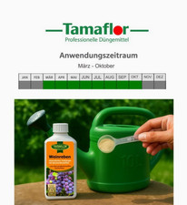 Dünger Wein, Weinreben  Vitis