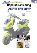 Reparaturanleitung RIS für