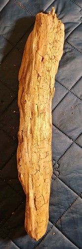 Treibholz schwemmholz - treibholz,