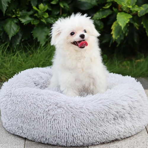 Hundebett mittelgroße hunde - mittelgroße,