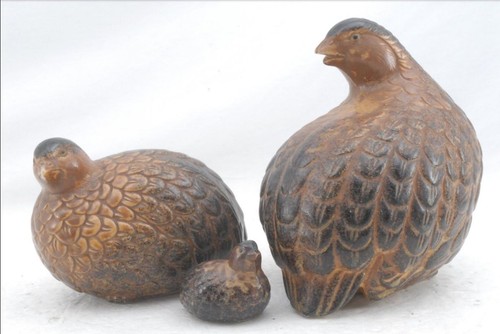 Wachtel eltern und küken - wachtel,