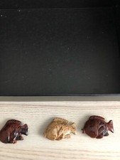 Bärbel Drexel Edelsteintiere