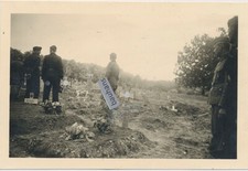 Foto aus Nachlass Panzer Rgt.8