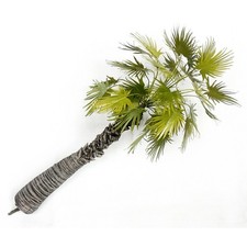 Tropische Palme - Höhe 18 cm