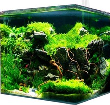 Nano Cube 60L mit Abdeckung