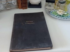 🔴 Buch Anatomie E