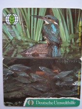 TELEFONKARTE, Deutsche Umwelthilfe, Eisvogel DOPPEL, O 902 + 903 5.94
