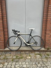 Bergamont Rennrad Carbon Dolce LTD RH 54 DT SWISS Shimano Ultegra