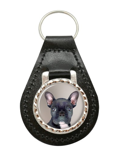 Blau französische bulldogge - französische,