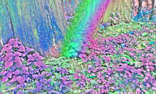 Poster xxl pop art natur - poster,