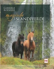 Magische islandpferde eine - magische,