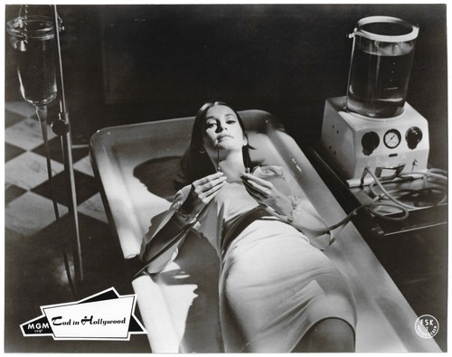 Tod hollywood anjanette - in,