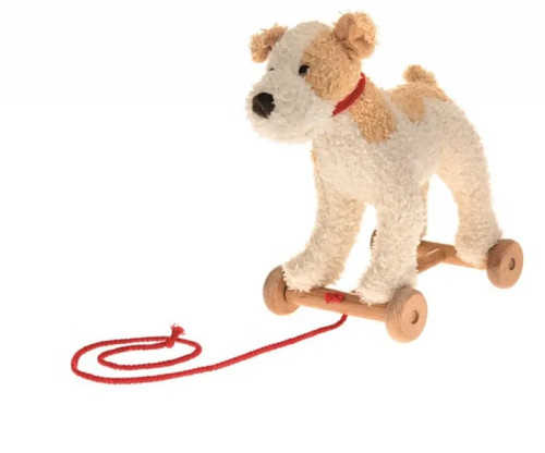 Nachziehtier hund eliot - hund,