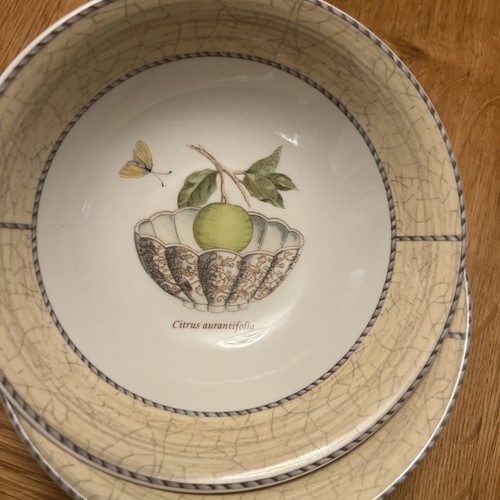 Wedgwood sarah garden - wedgwood, garden"