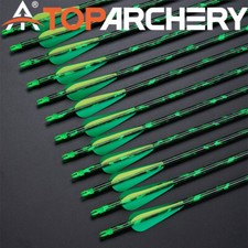12x jagdpfeile - 30",