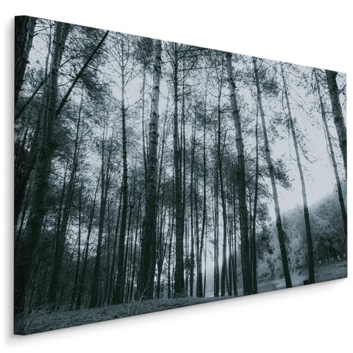 Canvas leinwand bilder xxl - bilder,