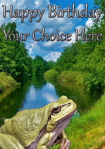 Frosch pidff4 alle - frosch, anlässe