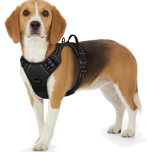 Hundegeschirr kleine hunde - kleine,