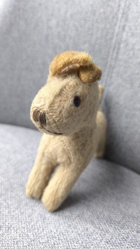 Stofftier hund terrier - hund,