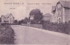 AK Ostseebad Dahme i.H., Villa Fick, Pensionat  H.Mumm u. Villa
