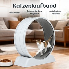 82 cm Laufrad für Katzen
