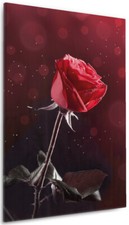Wallario Leinwandbild Wandbild