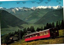 Vintage Postcard 4x6-