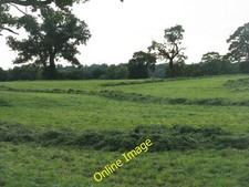 Foto 12x8 Spätschnitt bei