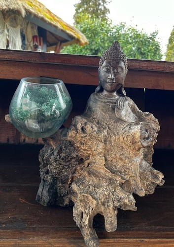 Wurzelholz buddha glasvase - wurzelholz,