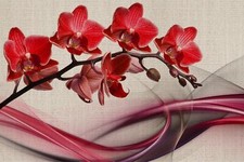 VINYL FOTOTAPETE Tapete