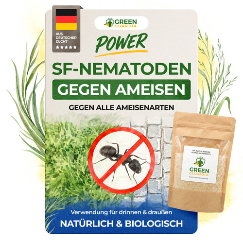 Nematoden gegen ameisen 2 - gegen, ameisen–2
