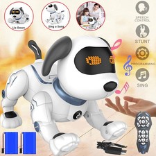 Roboter Hund Kinder