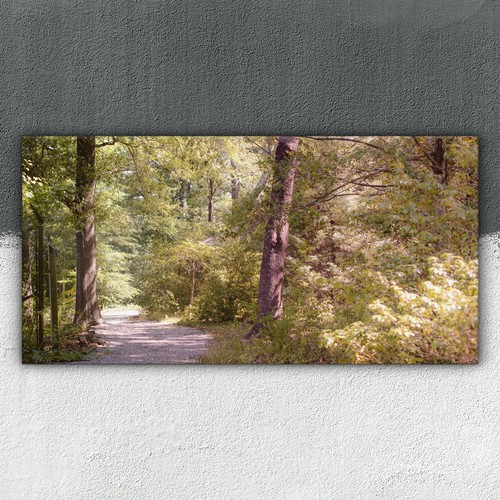 Wald baum herbst 100x50 - wald,