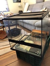 Schönes Terrarium 50x50cm