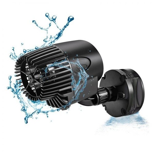 Aqqa aquarium fish - aqqa,
